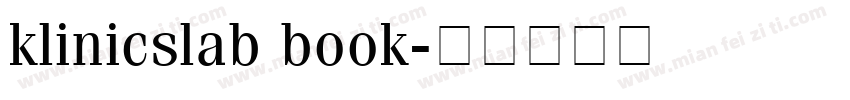 klinicslab book字体转换